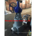 Stainless Steel Y Type Flanged Globe Valve